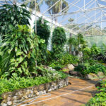 wholesale plant nursery